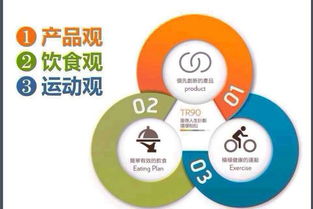 科學散步 邁向減肥的有效步伐指南